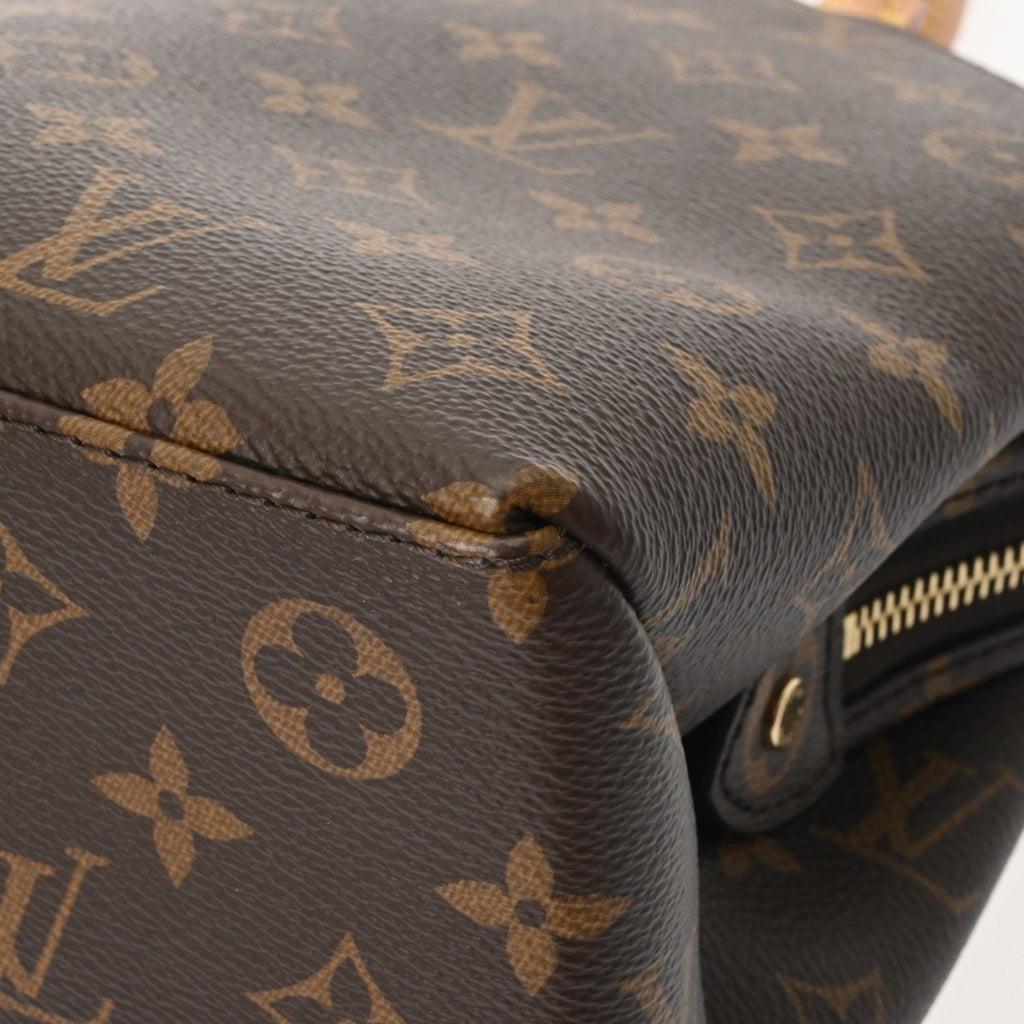 Louis Vuitton Brown Monogram Monogram Handbag