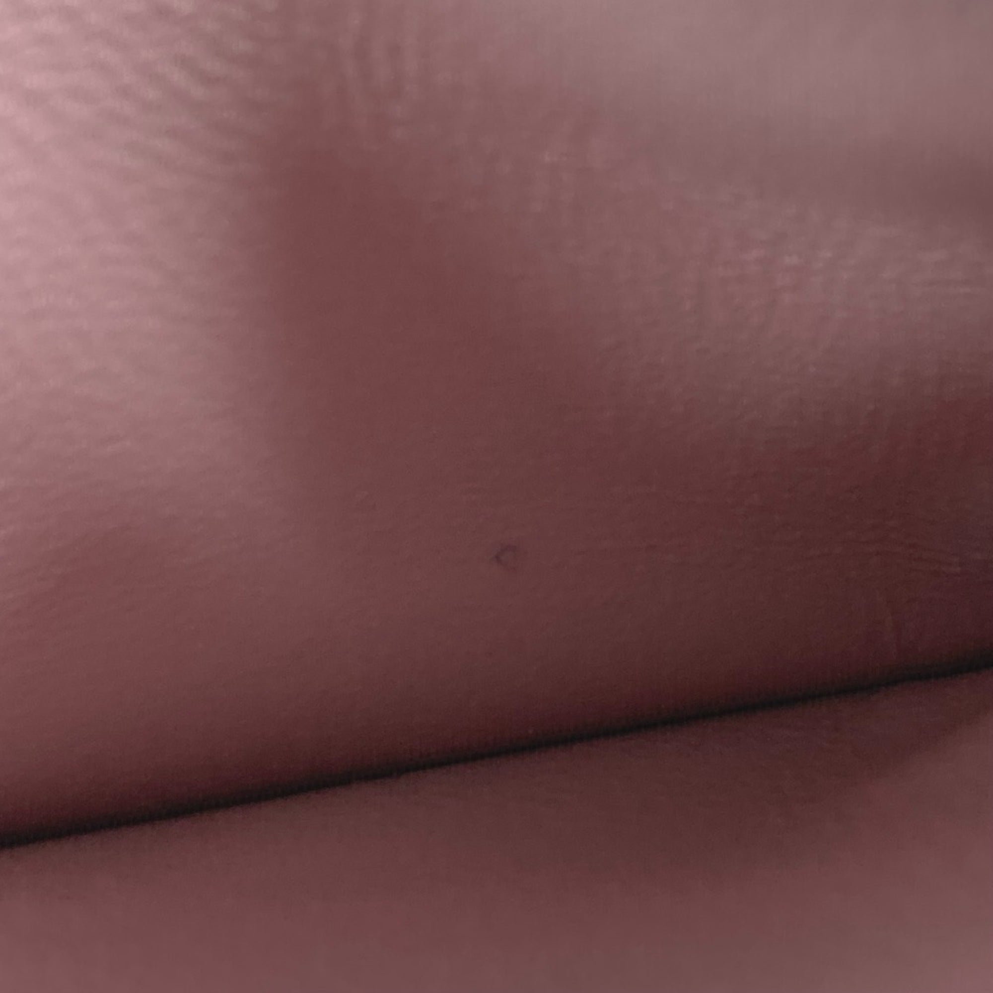 Balenciaga Pink Leather Coin Purse/Coin Case
