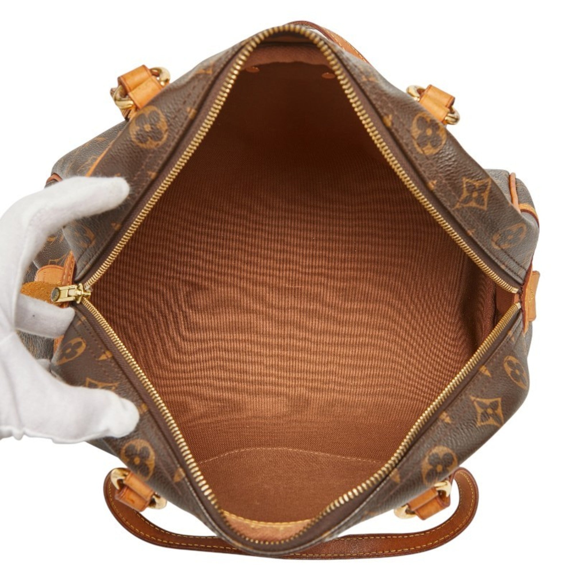 Louis Vuitton Brown Monogram Pvc Leather Handbag