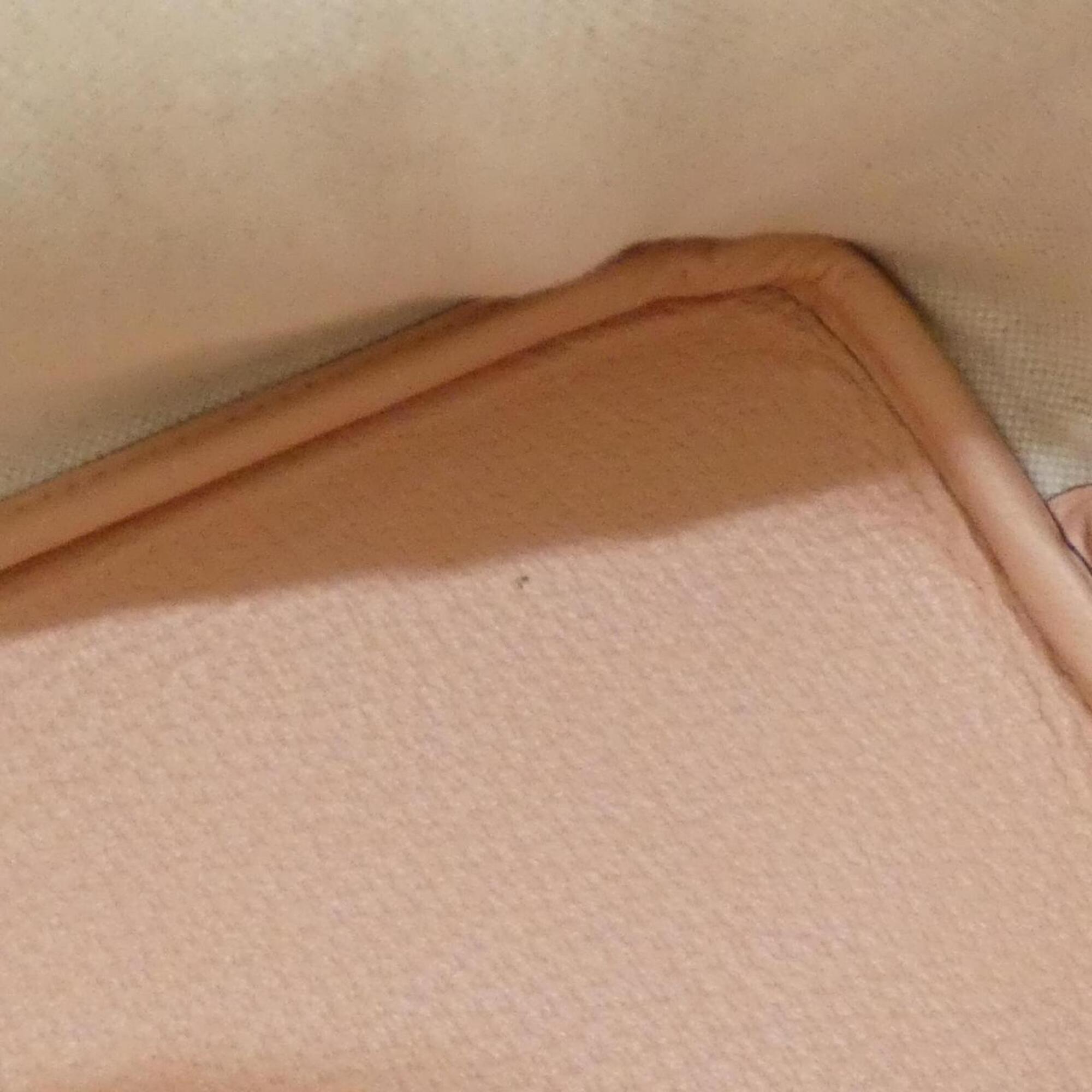 Gucci Dusty Pink Gg Supreme Leather Handbag (Pre-Owned)