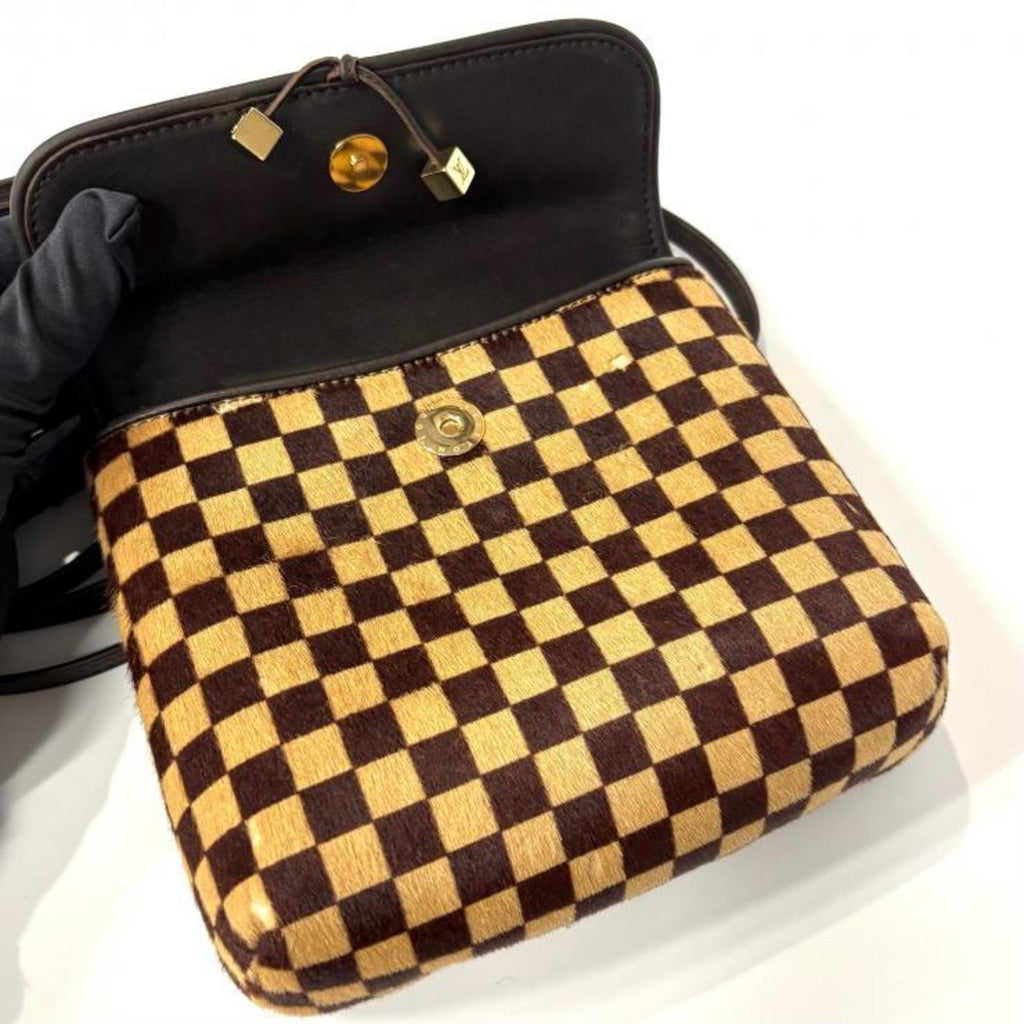 Louis Vuitton Brown Leather Shoulder Bag
