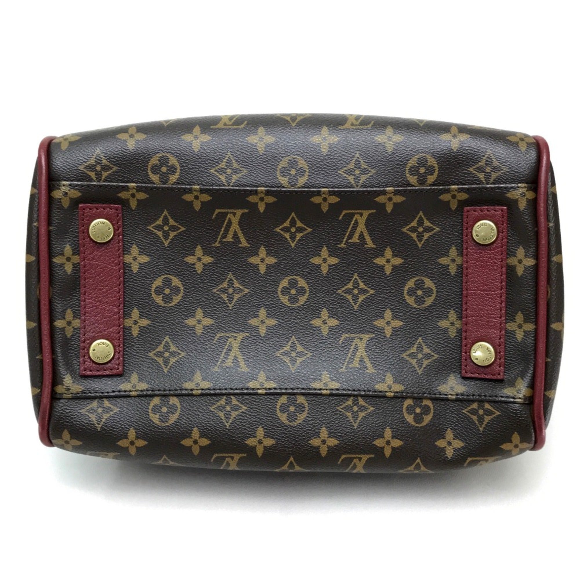 Louis Vuitton Brown Other Handbag