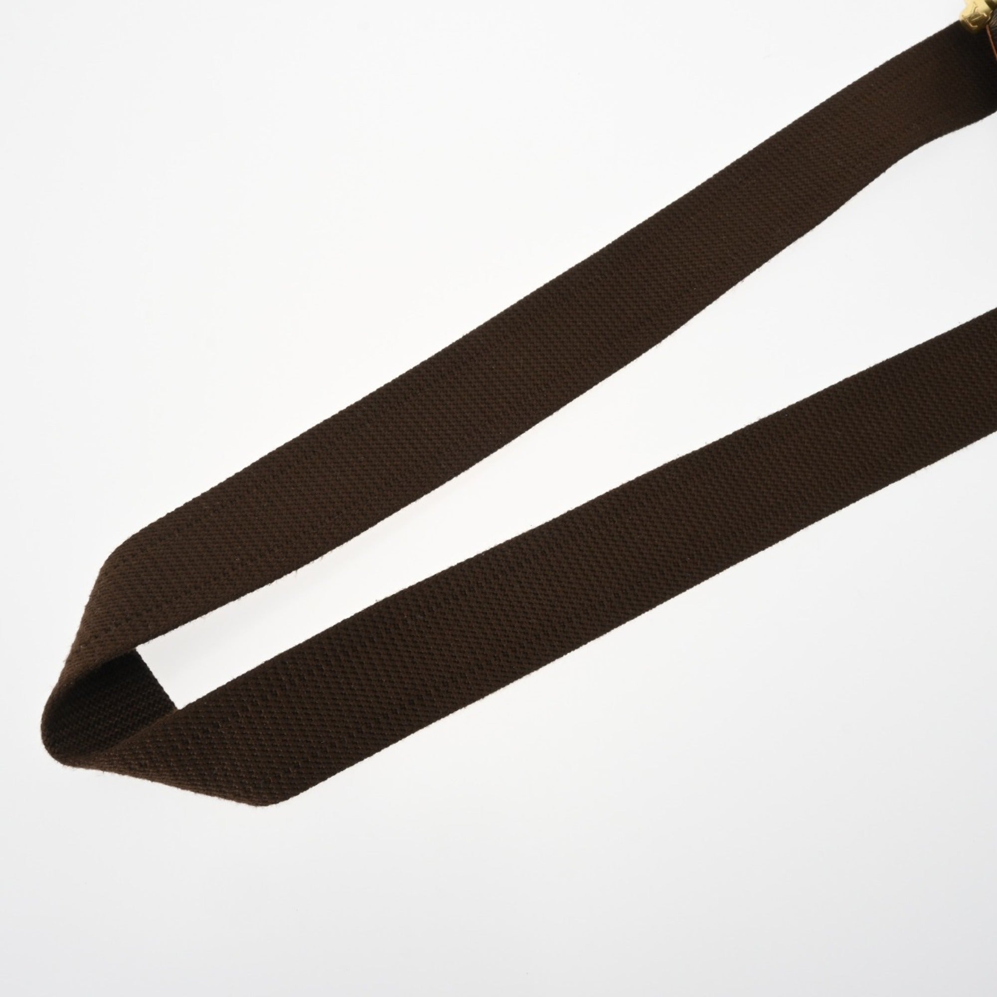 Louis Vuitton Monogram Brown Monogram Sling Bag