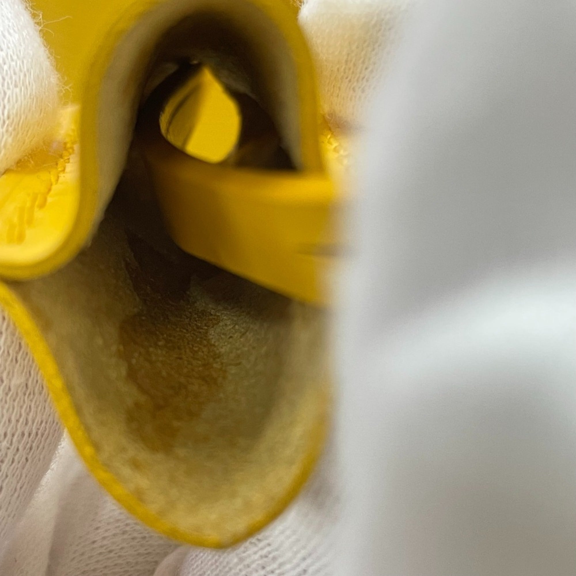 Louis Vuitton Mimosa Yellow Epi Leather Handbag Tote Bag