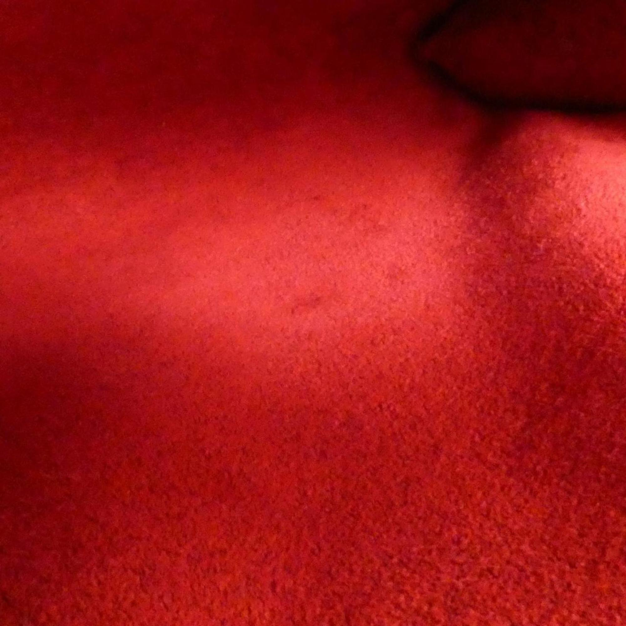 Louis Vuitton Red Color Leather Pochette Pouch