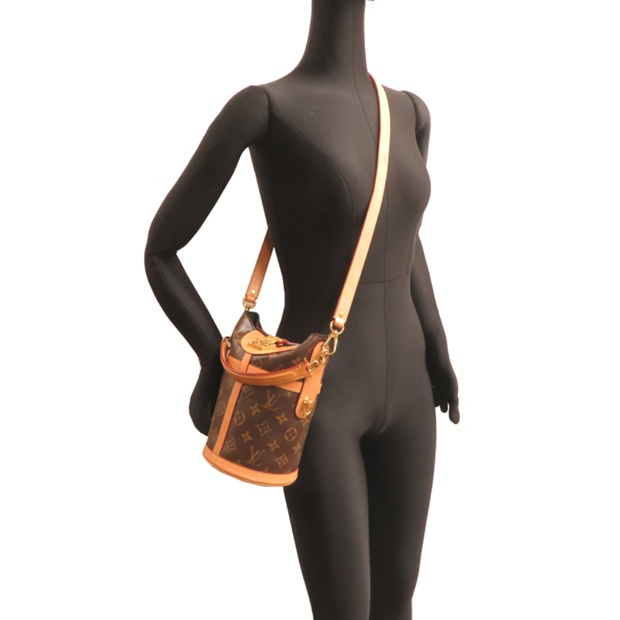 Louis Vuitton Brown Monogram Handbag