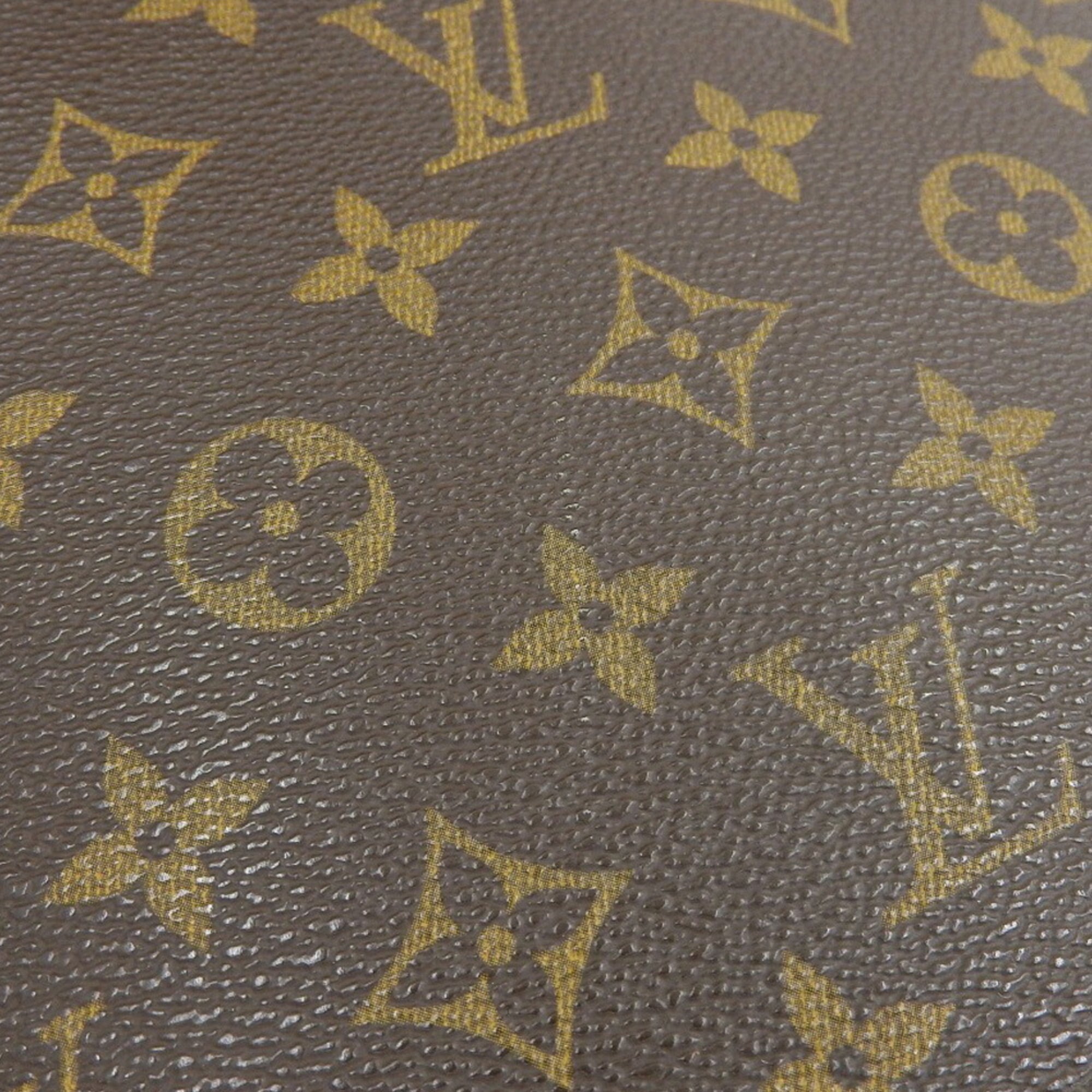 Louis Vuitton Monogram Pvc Shoulder Bag