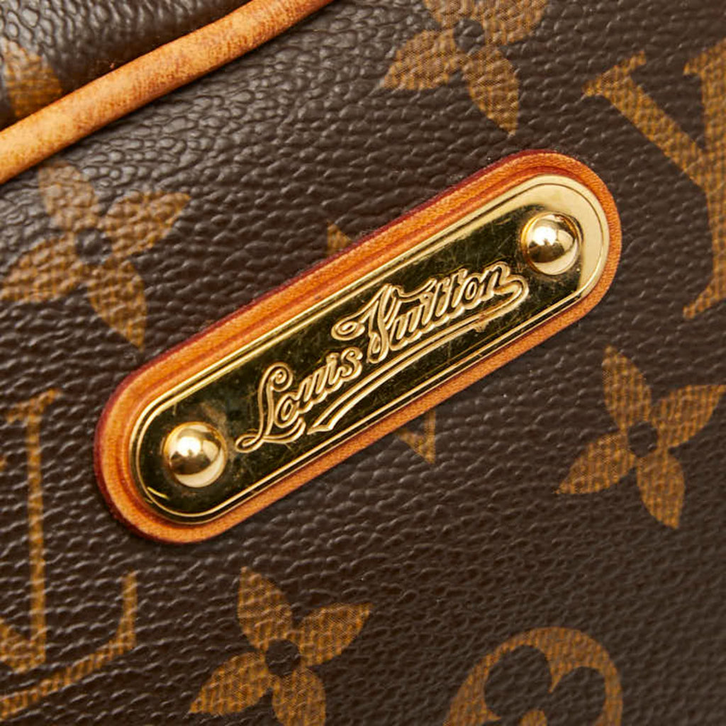 Louis Vuitton Brown Monogram Pvc Leather Handbag