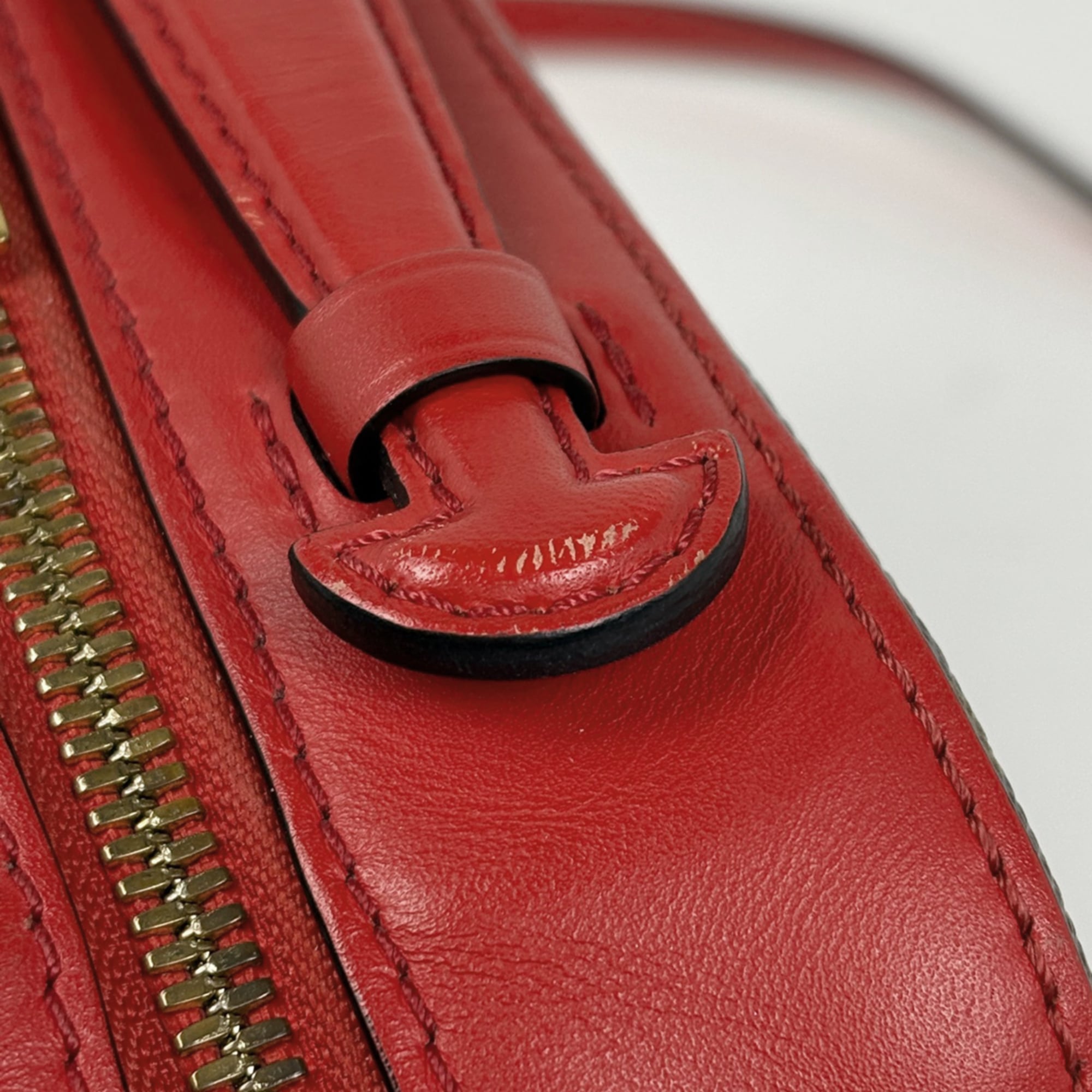 Louis Vuitton Brown Coquelicots Red Color Monogram Shoulder Bag