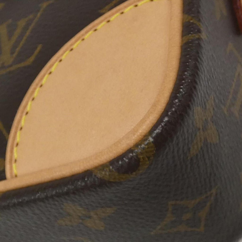 Louis Vuitton Marron Monogram Monogram Shoulder Bag