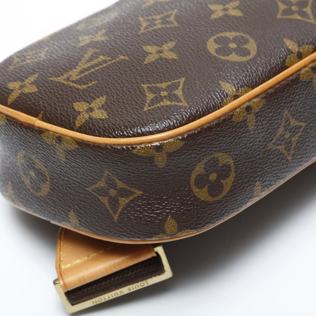 Louis Vuitton Monogram Brown Monogram Fanny Pack
