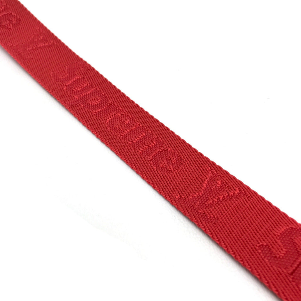Louis Vuitton Red Leather Other