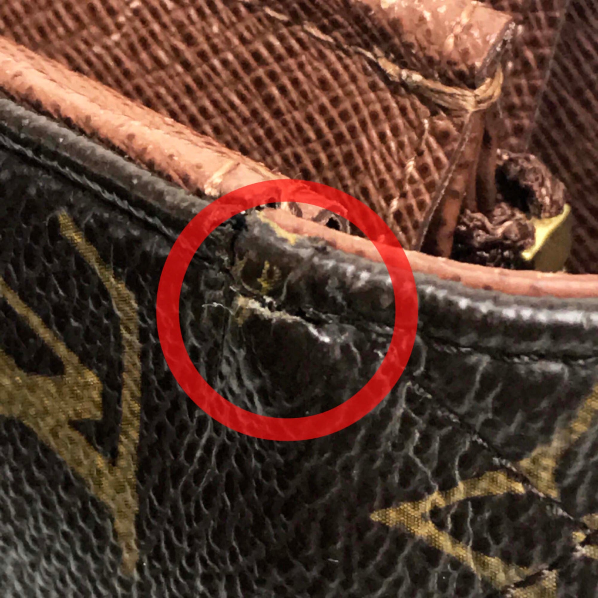 Louis Vuitton Brown Other Long Wallet