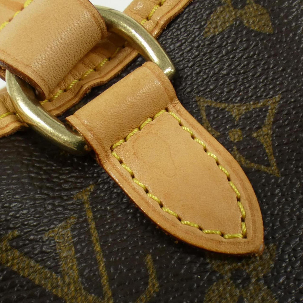 Louis Vuitton Marron Coated Canvas Handbag