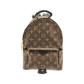 Louis Vuitton Brown Coated Canvas Backpack