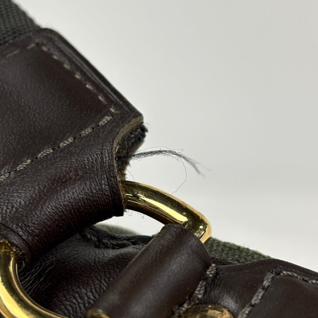 Louis Vuitton Tst Khaki Monogram Mini Handbag Shoulder Bag