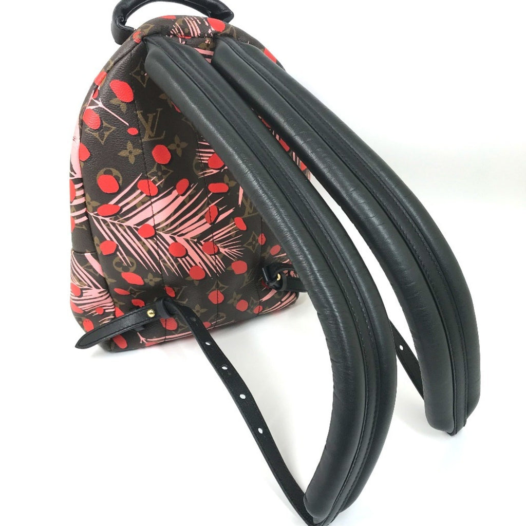 Louis Vuitton Brown Pink Red Color Monogram Backpack