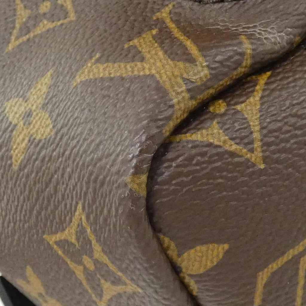 Louis Vuitton Marron Monogram Monogram Backpack