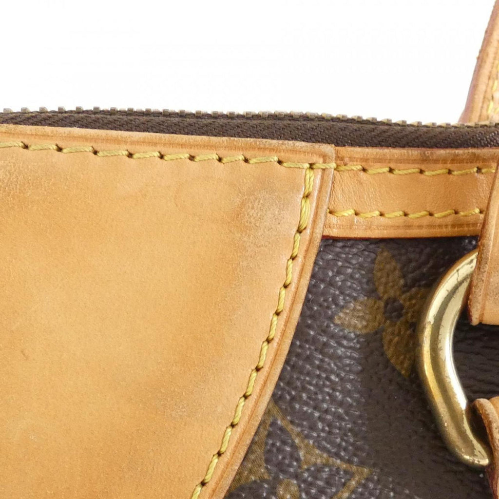 Louis Vuitton Marron Monogram Monogram Handbag