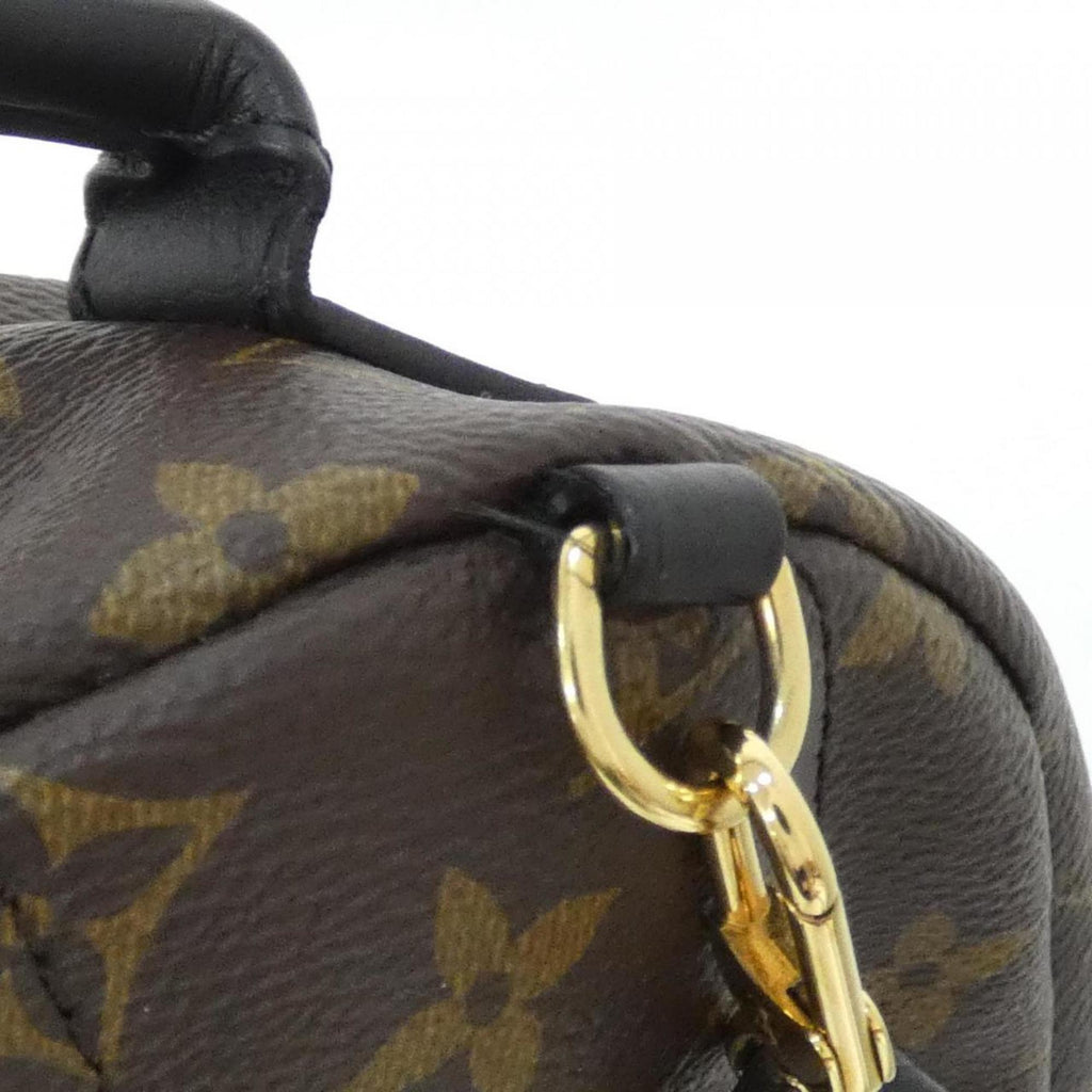 Louis Vuitton Marron Coated Canvas Backpack