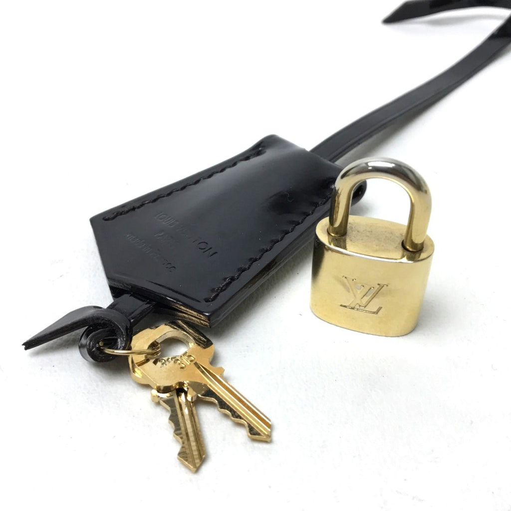 Louis Vuitton Purple Other Handbag