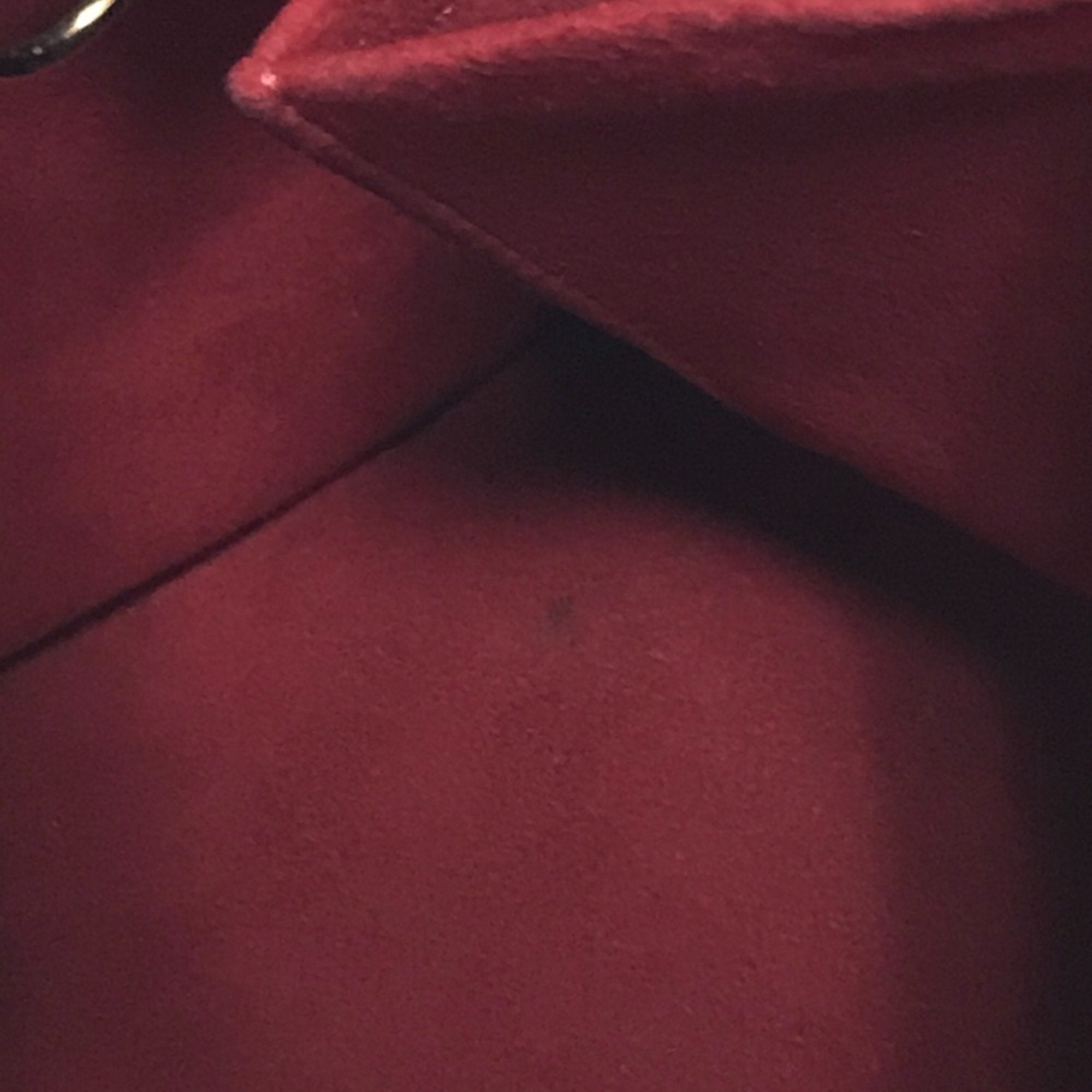 Louis Vuitton Brown Other Handbag