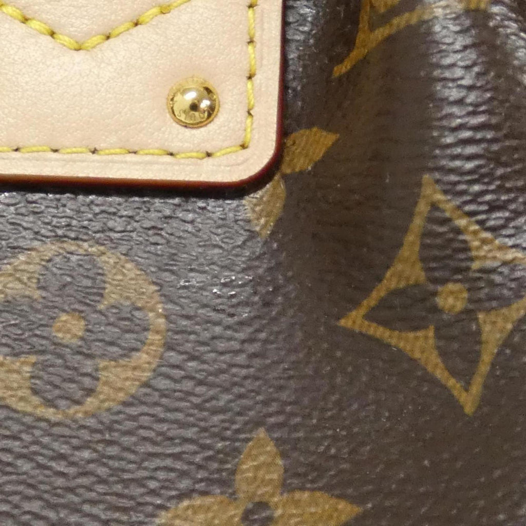 Louis Vuitton Monogram Marron Monogram Monogram Handbag