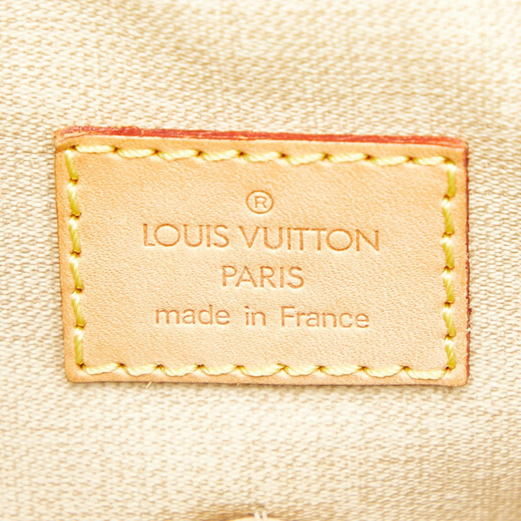 Louis Vuitton Monogram Brown Pvc Leather Handbag