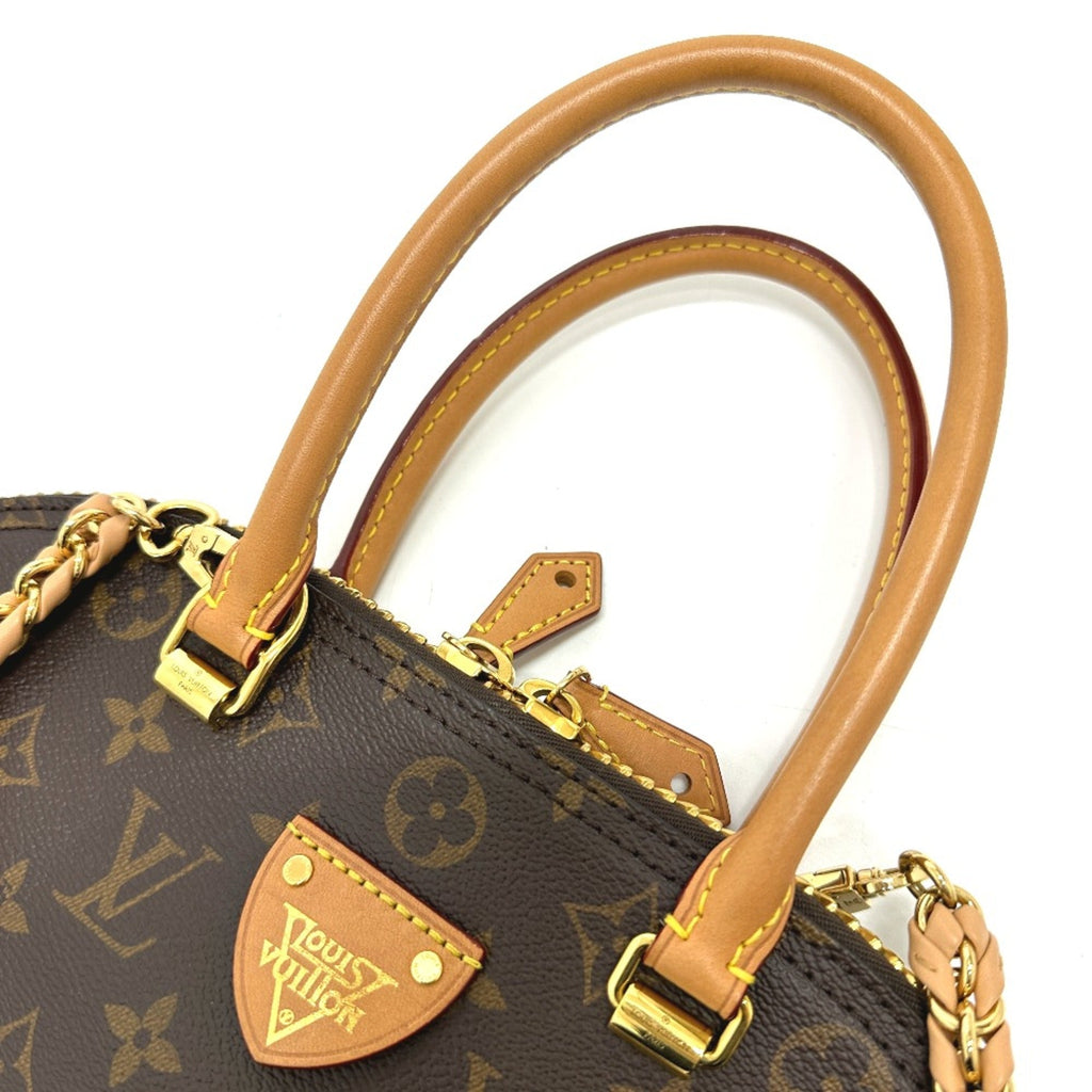 Louis Vuitton Brown Other Handbag