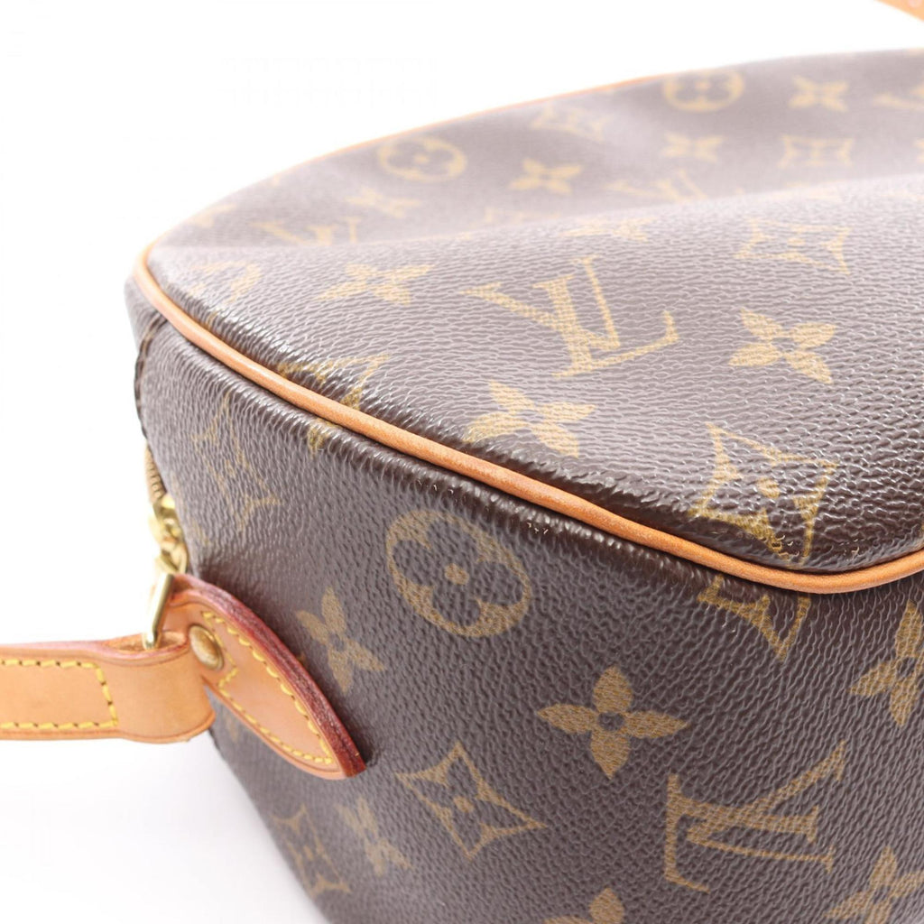 Louis Vuitton Brown Coated Canvas Pvc Monogram Leather Shoulder Bag