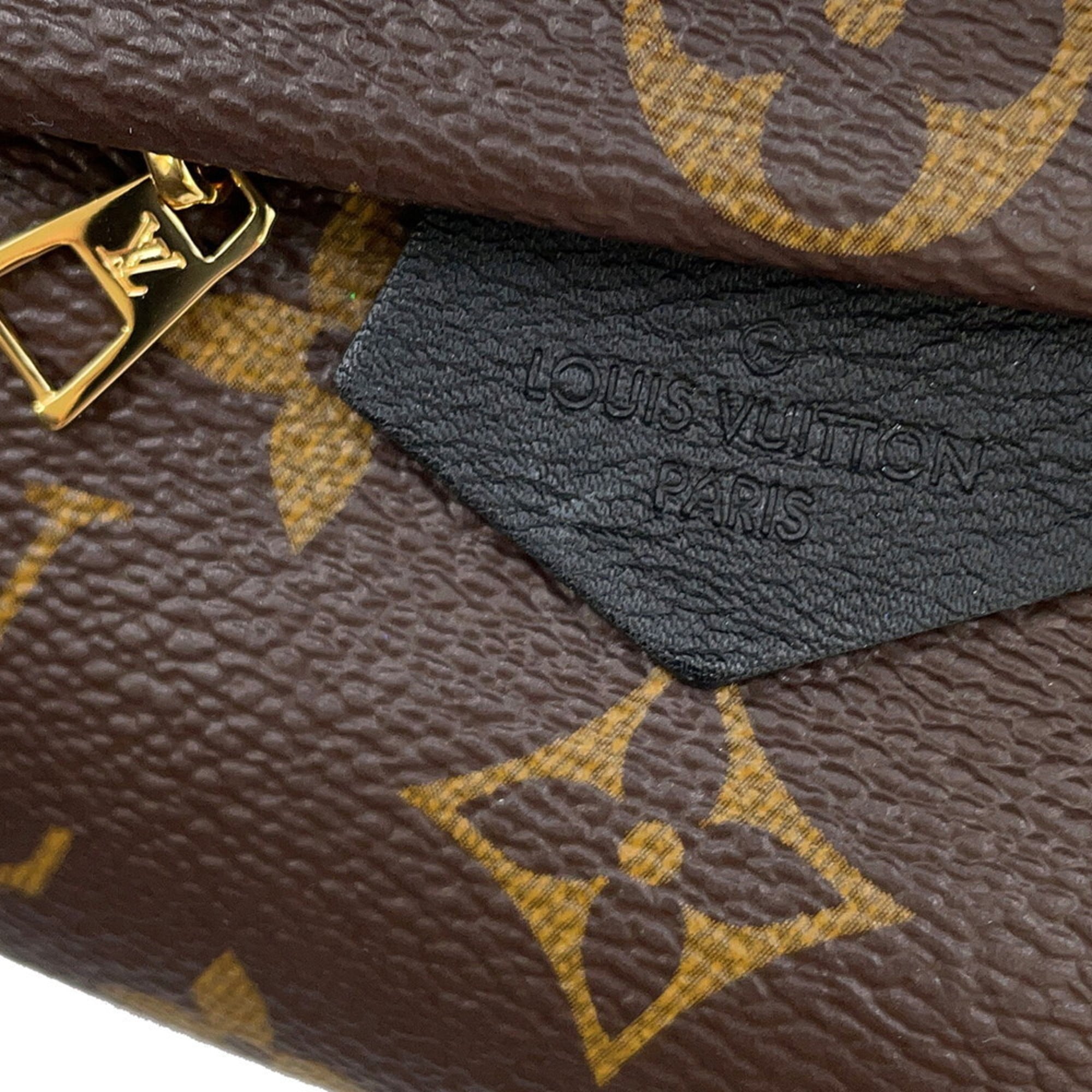 Louis Vuitton Monogram Noir Monogram Handbag
