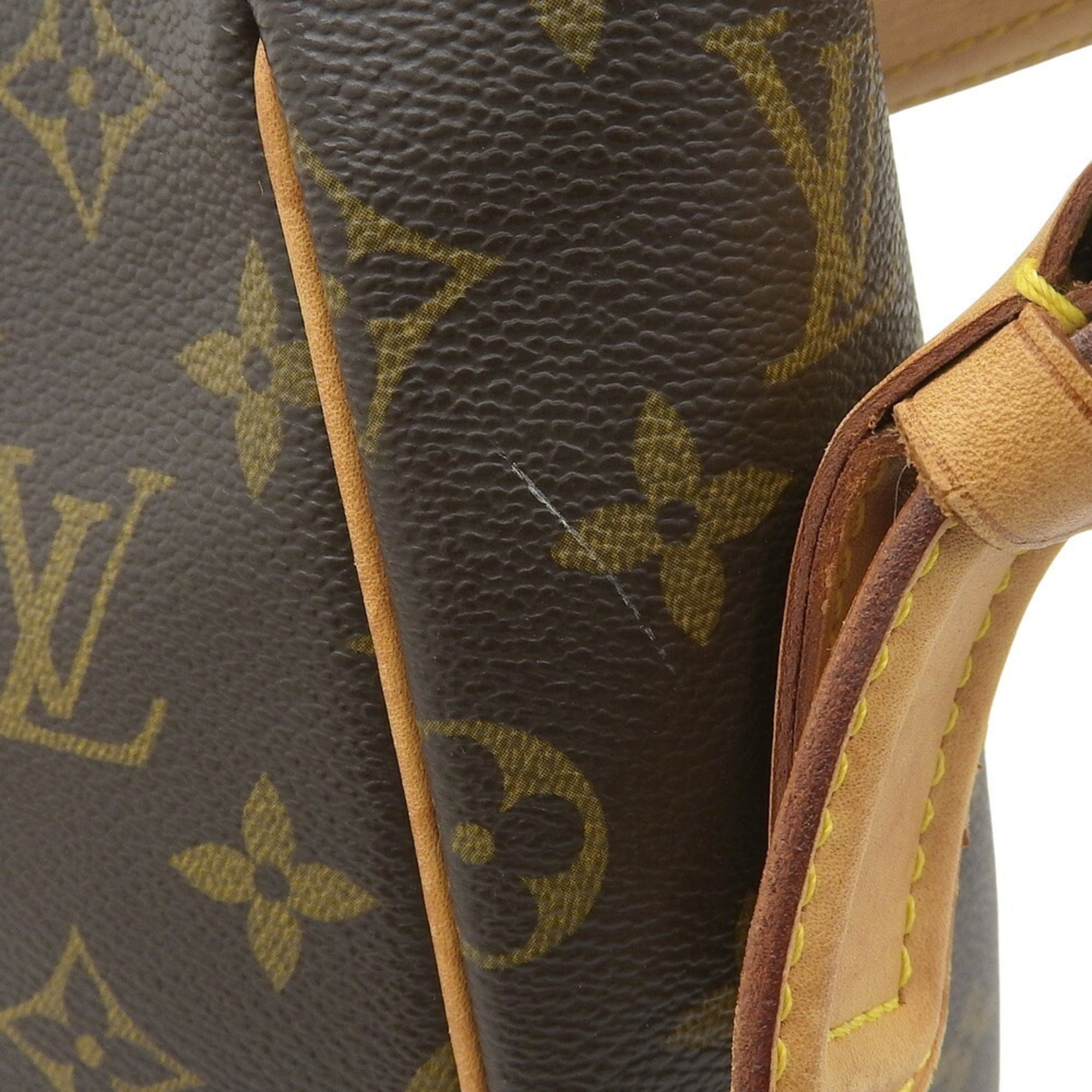 Louis Vuitton Monogram Pvc Shoulder Bag
