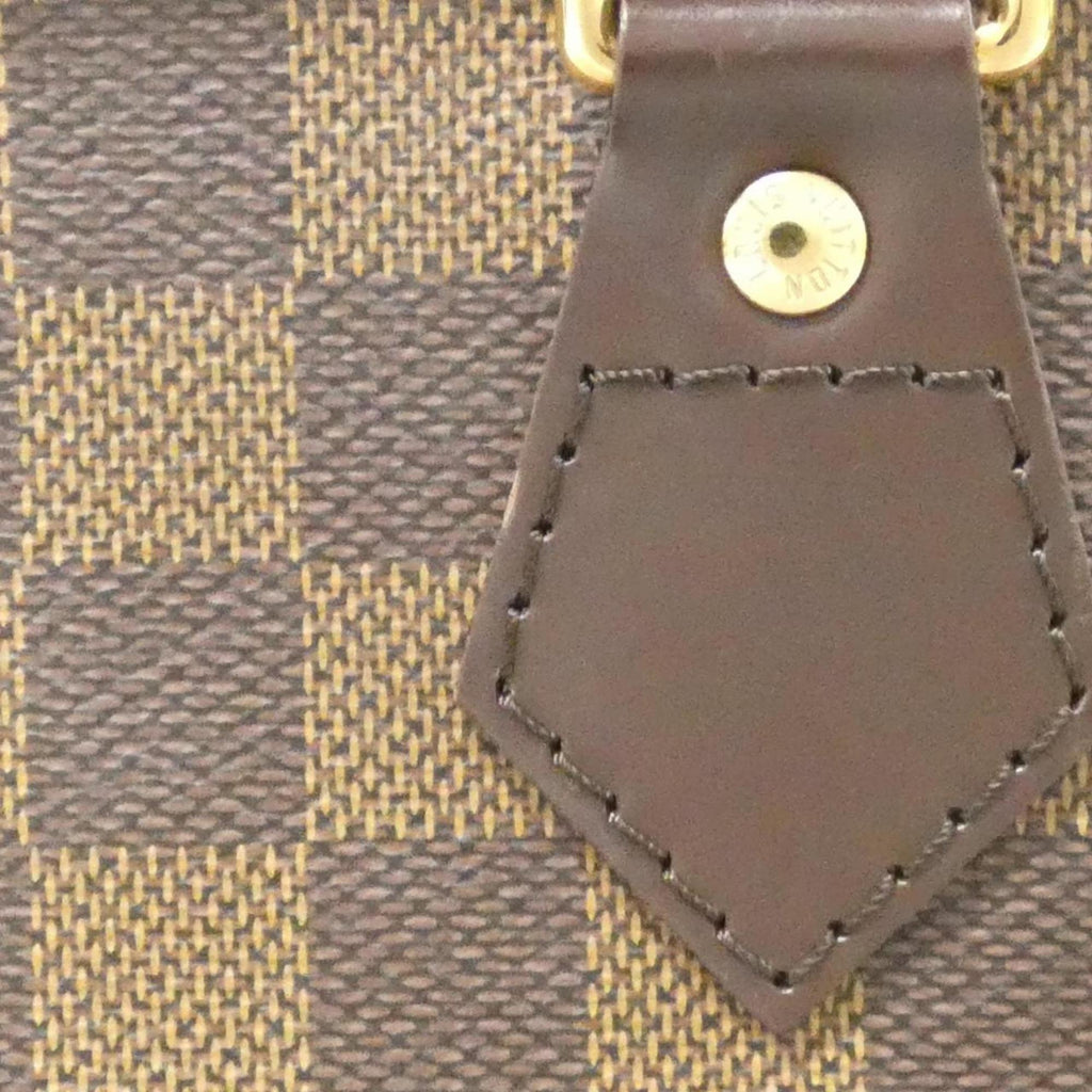 Louis Vuitton Ebene Coated Canvas Handbag