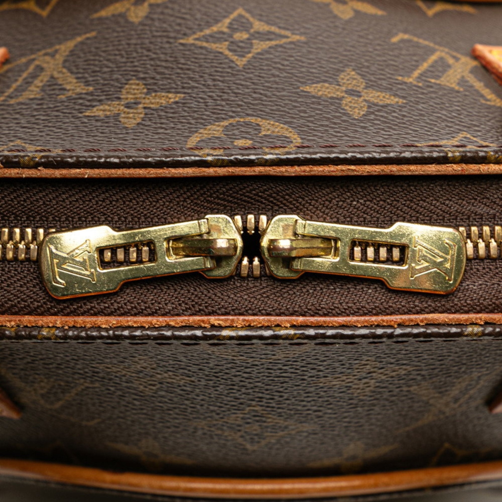 Louis Vuitton Monogram Brown Pvc Leather Handbag