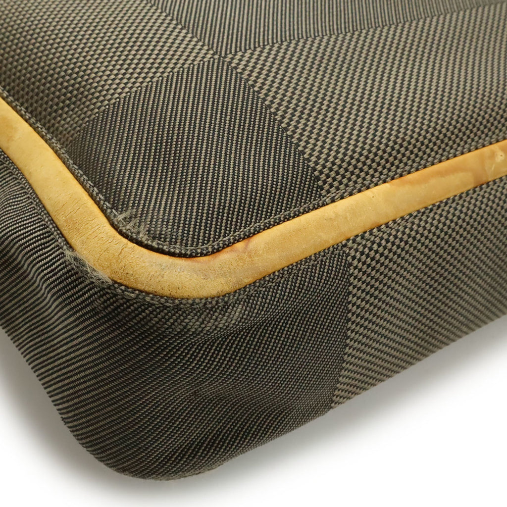 Louis Vuitton Earth Damier Geant Canvas Shoulder Bag