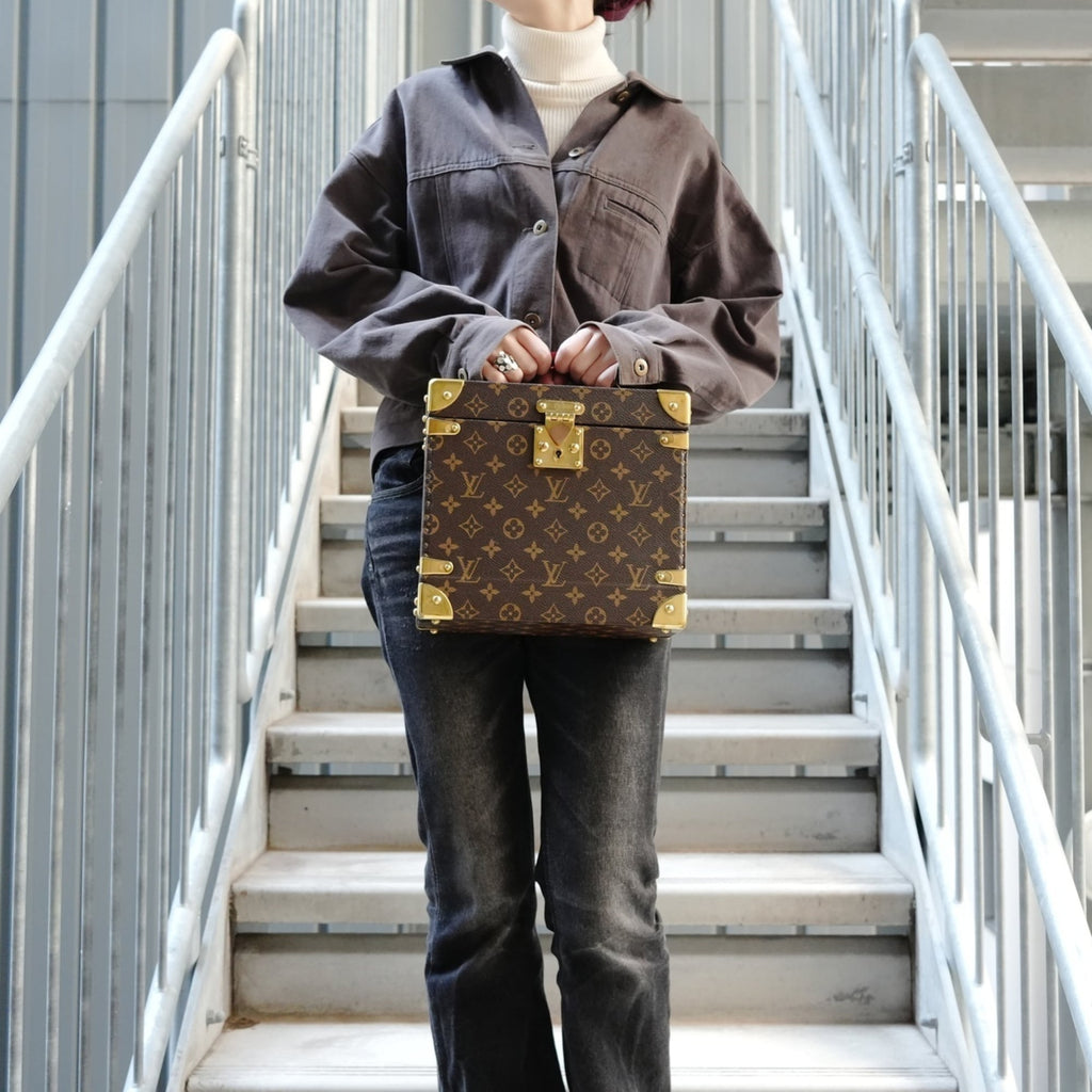 Louis Vuitton Brown Handbag