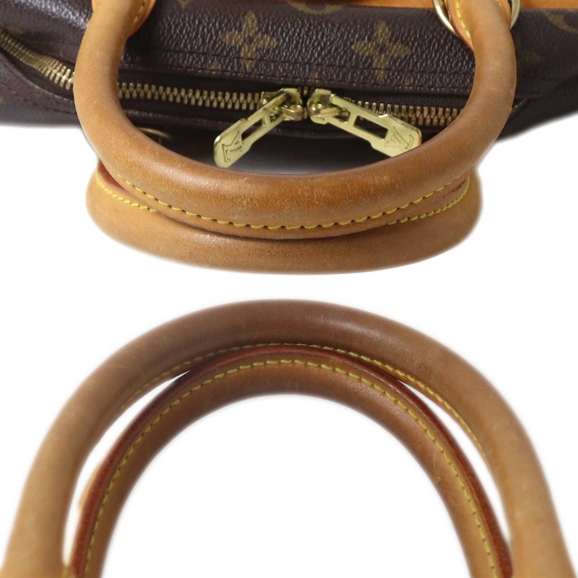 Louis Vuitton Monogram Monogram Handbag