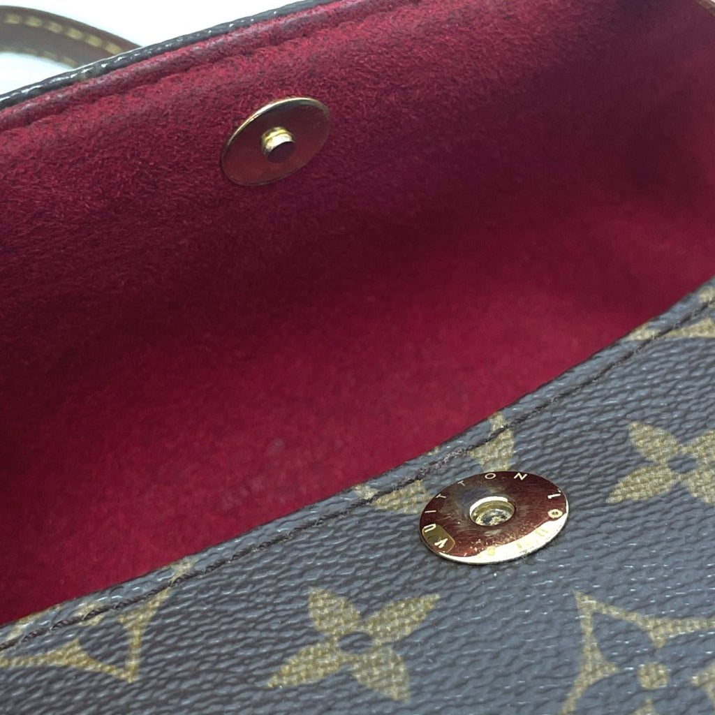 Louis Vuitton Brown Other Handbag