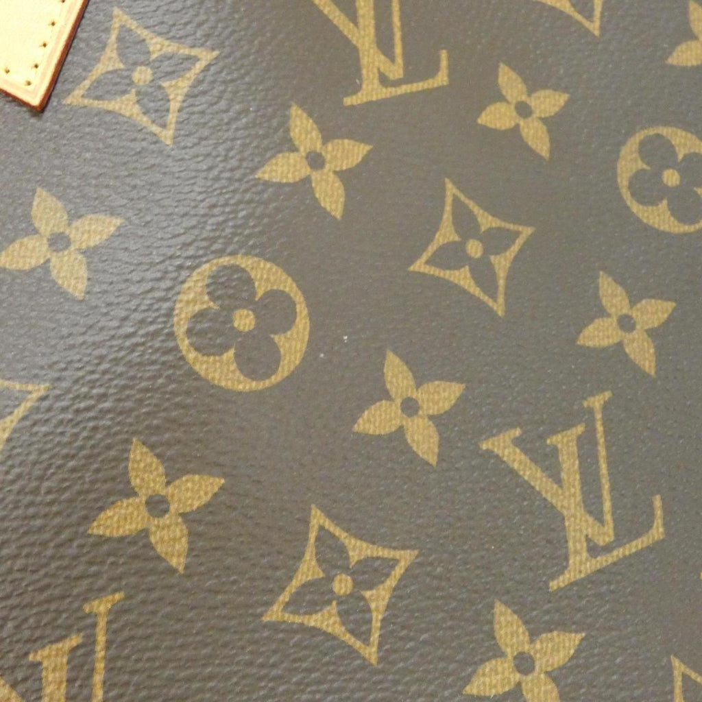 Louis Vuitton Marron Coated Canvas Handbag