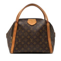 Louis Vuitton Brown Handbag