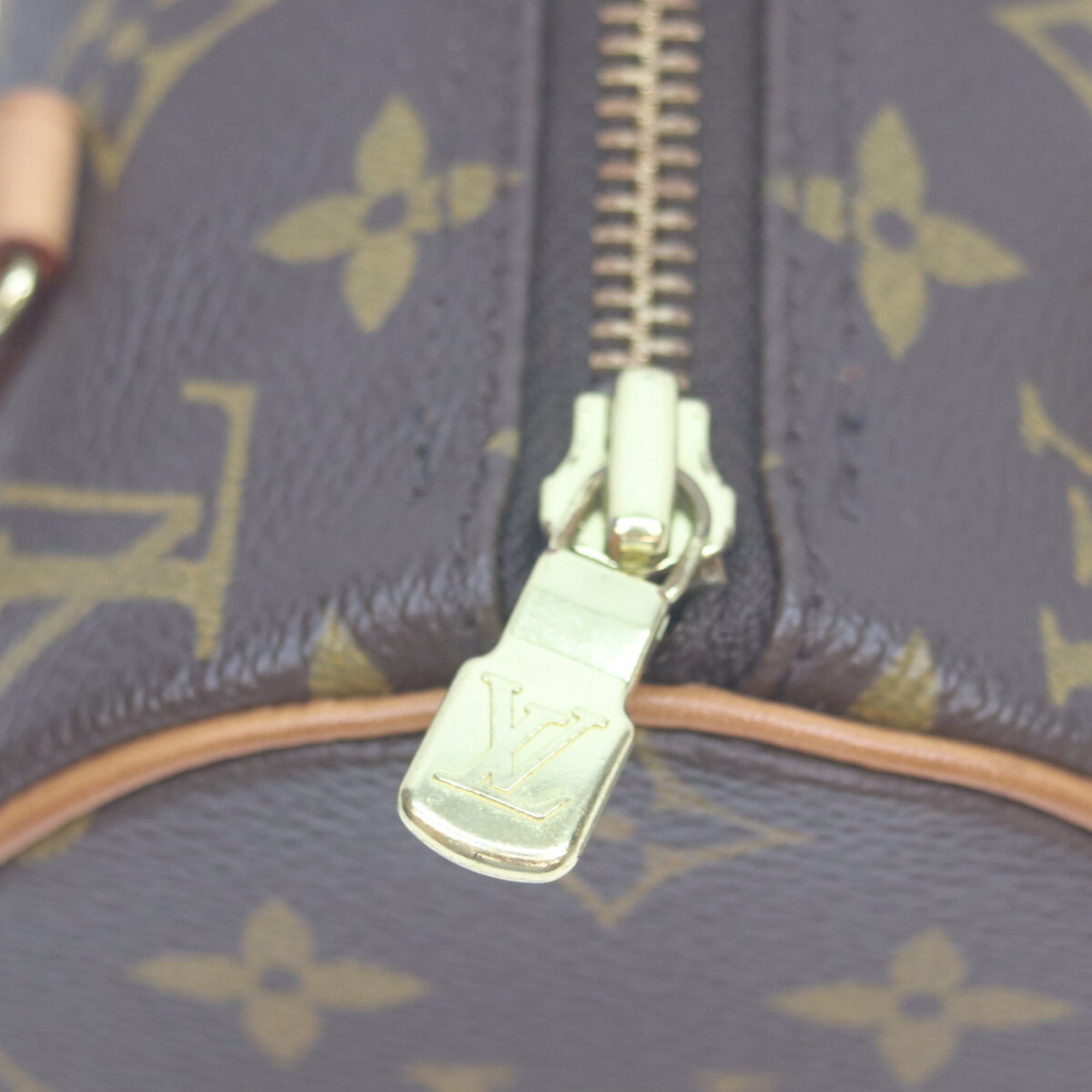 Louis Vuitton Brown Monogram Handbag