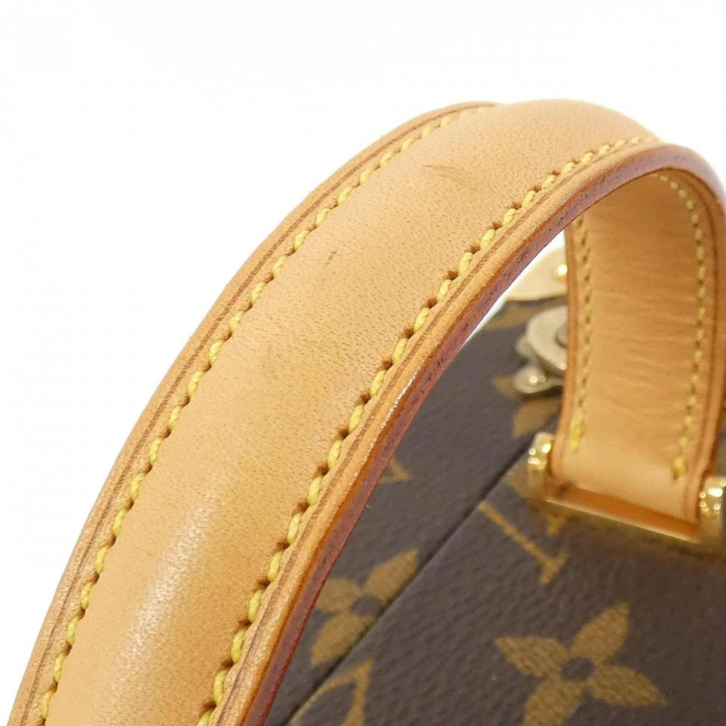 Louis Vuitton Marron Monogram Monogram Handbag