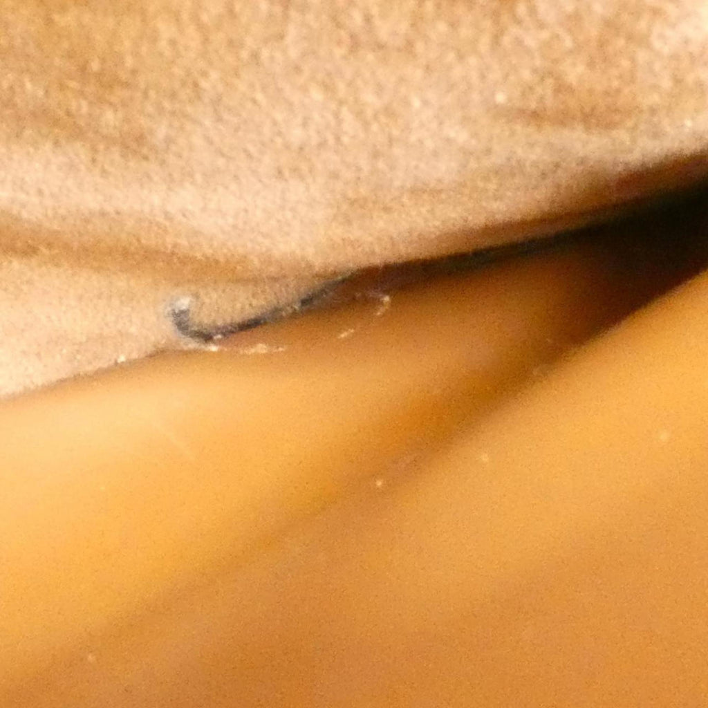 Louis Vuitton Camel Leather Handbag