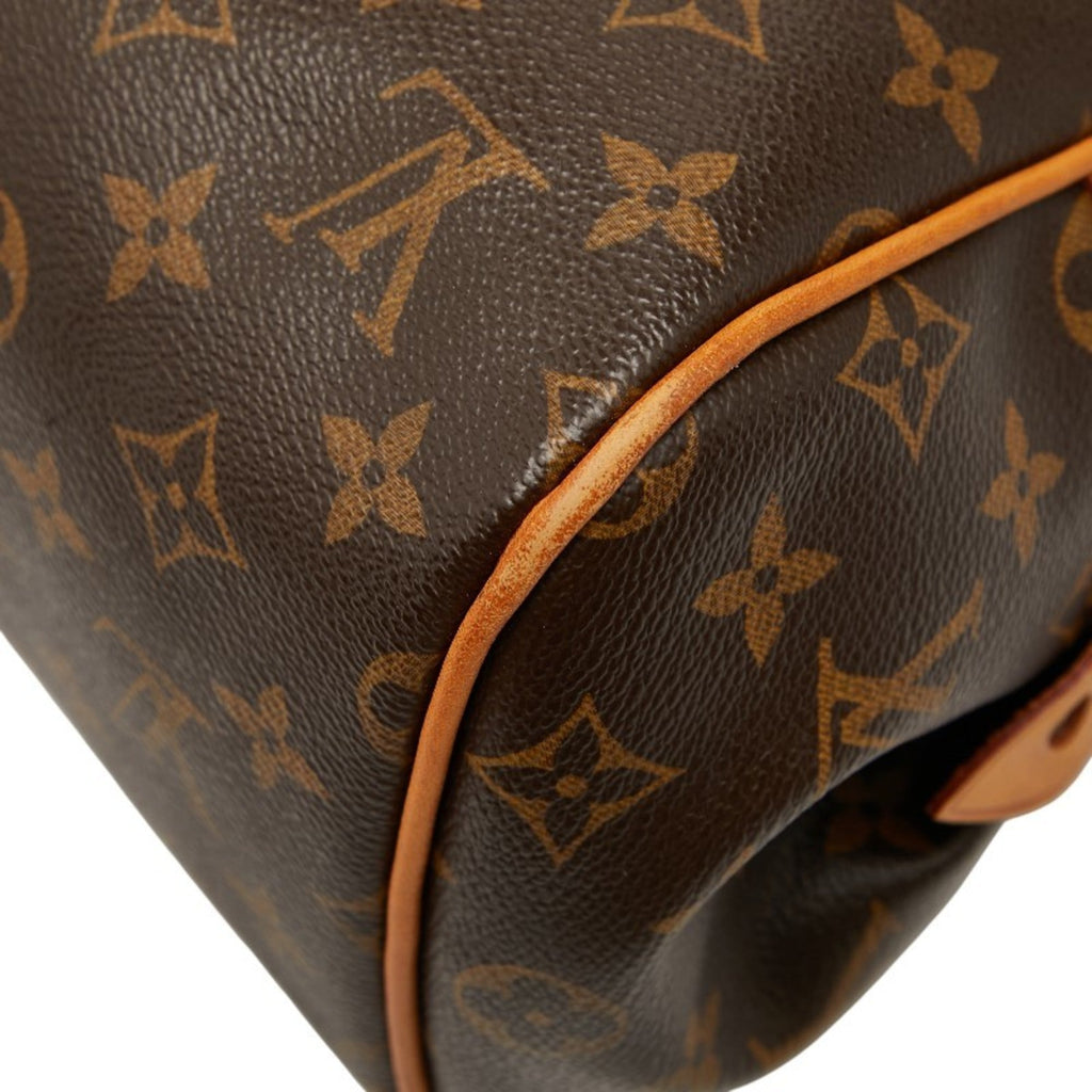 Louis Vuitton Brown Monogram Pvc Leather Handbag