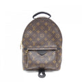 Louis Vuitton Marron Coated Canvas Backpack