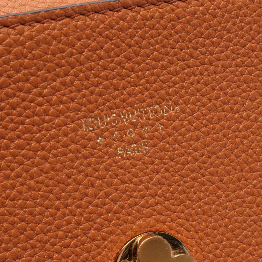 Louis Vuitton Brown Leather Shoulder Bag