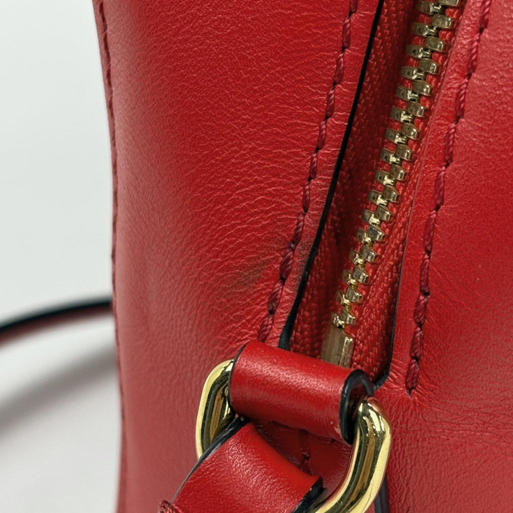 Louis Vuitton Brown Coquelicots Red Color Monogram Shoulder Bag