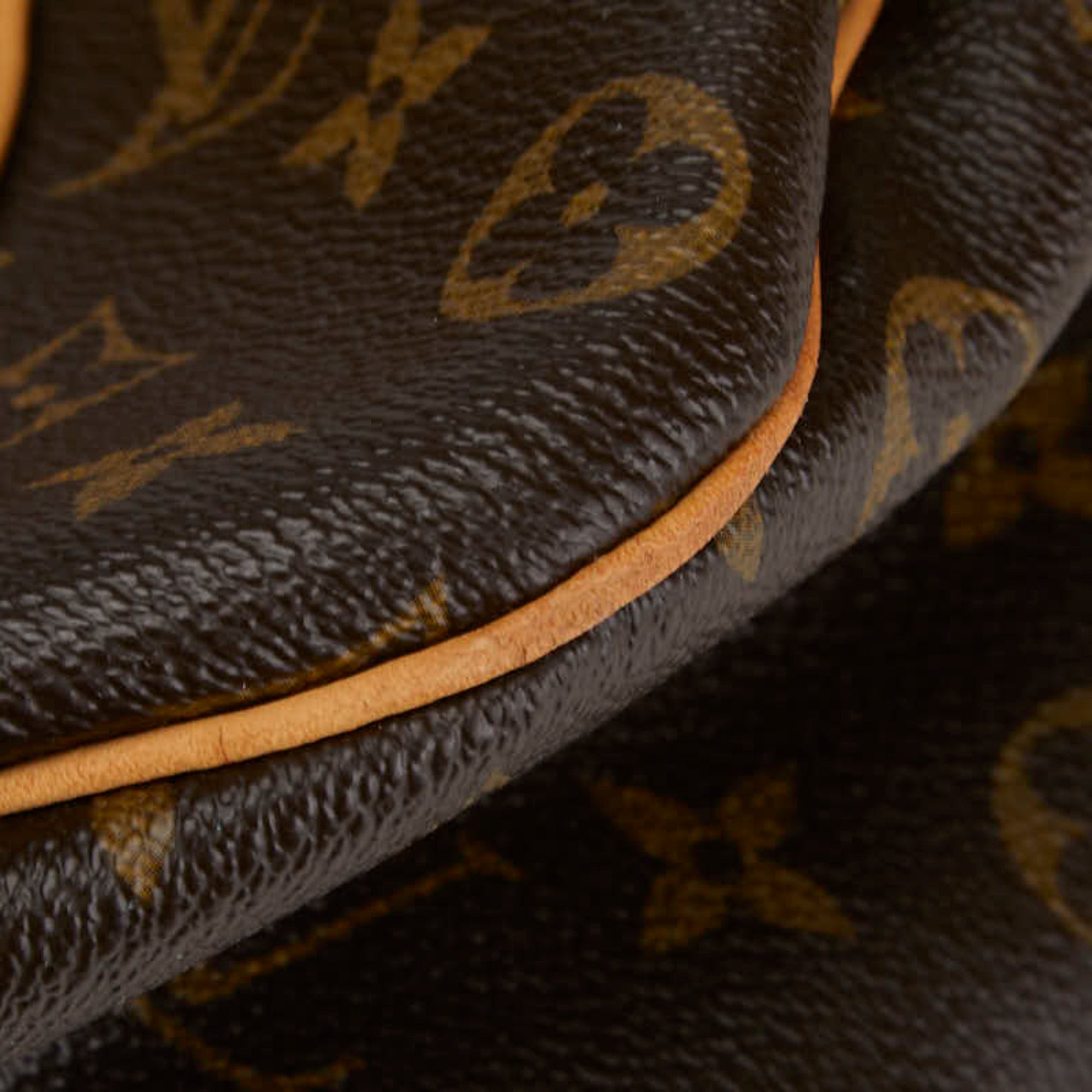Louis Vuitton Monogram Brown Monogram Monogram Tote Bag