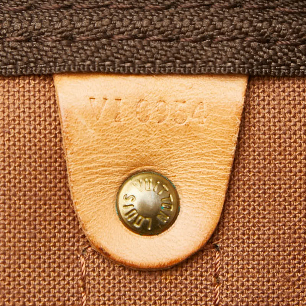Louis Vuitton Brown Boston Bag