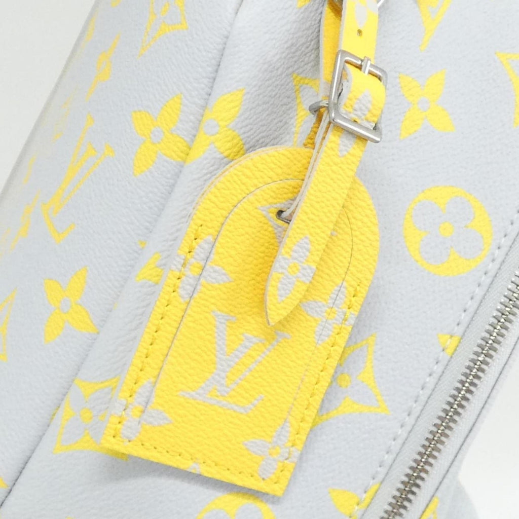 Louis Vuitton Gray Jaune Coated Canvas Backpack